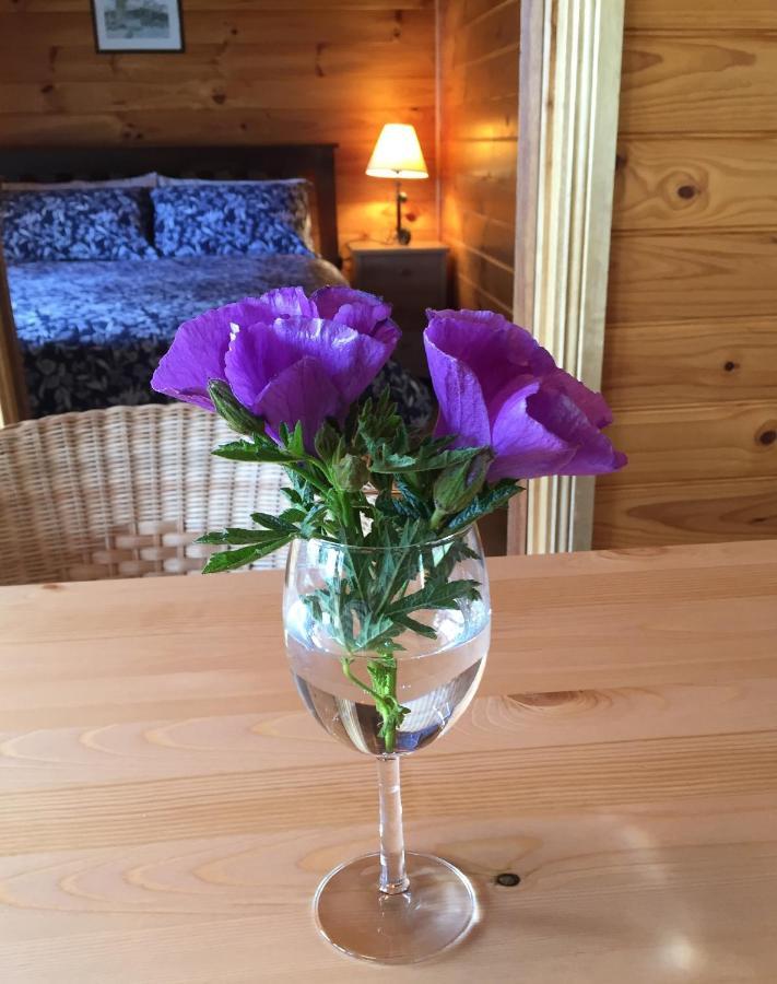 Bed and Breakfast Molly'S Chase Emu Flat Экстерьер фото